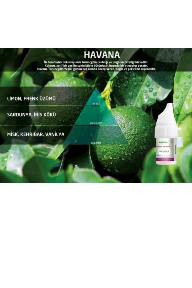 Cosmic M5 Havana Koku Kartuşu 100 ml